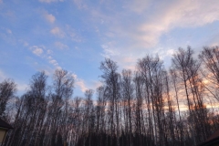 DSC00224