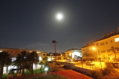 DSC02547