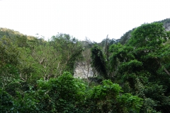 DSC06787